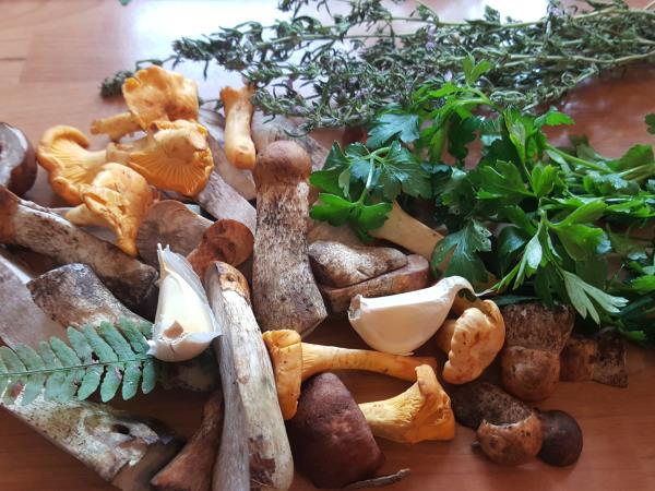 Popečene gobe s testeninami in kajmakom